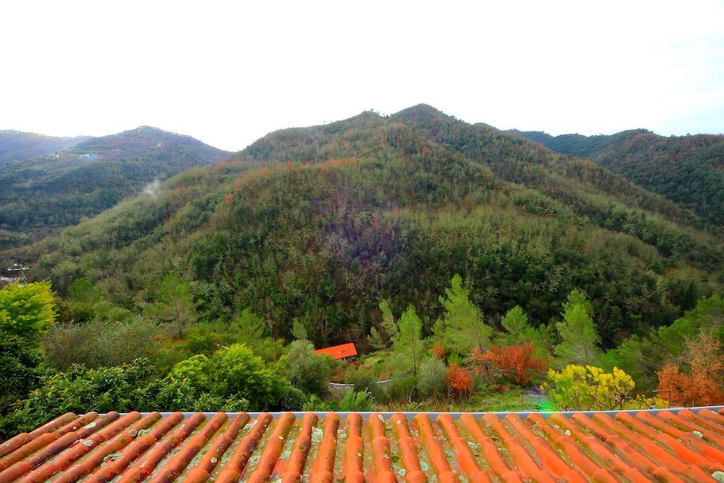 La Favorita Apricale B&B & Ristorante Pokój zdjęcie